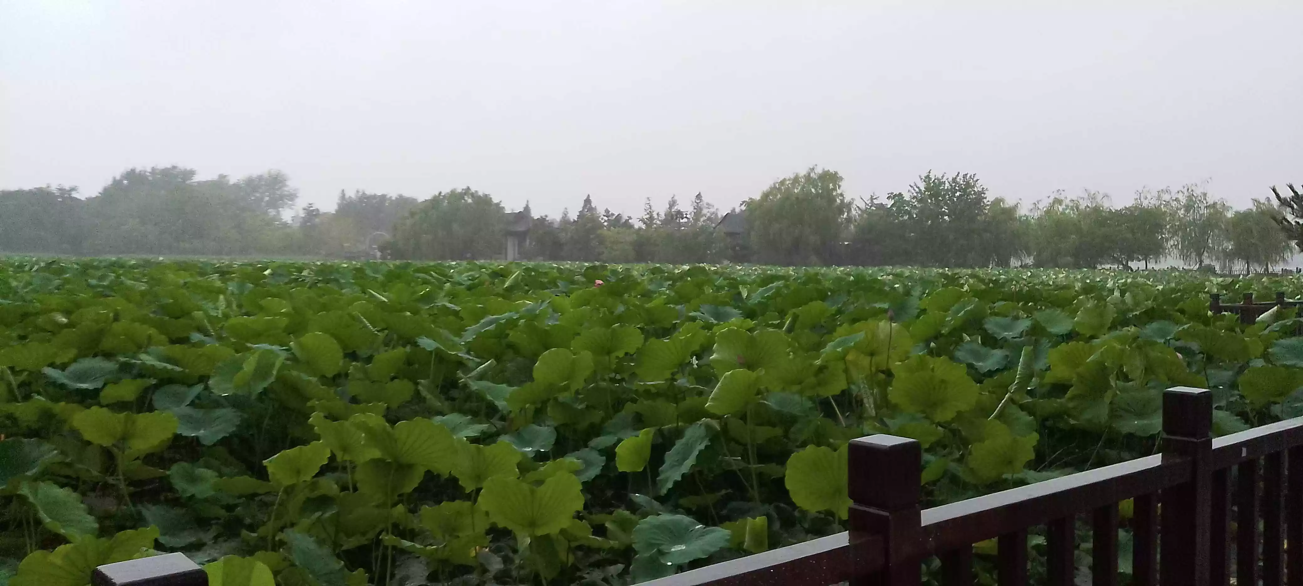 Featured image of post 实在是睡不着