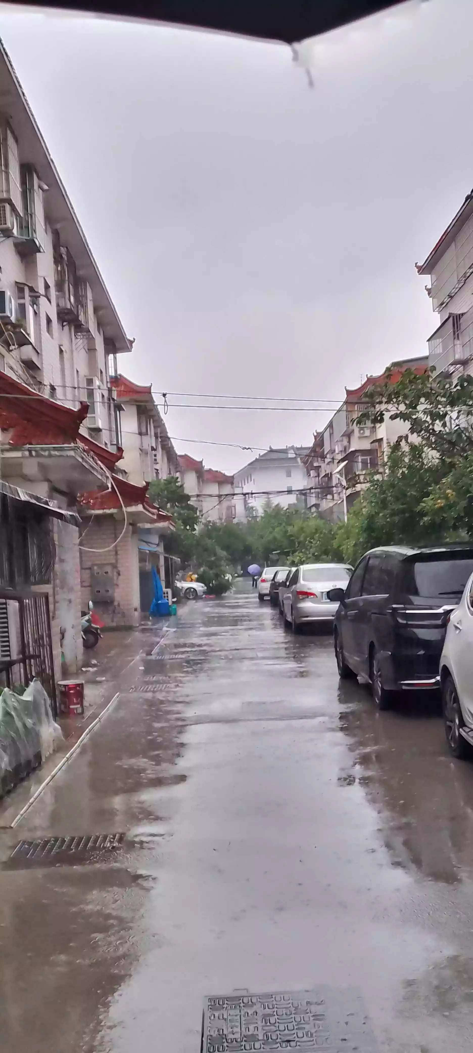 Featured image of post 抬头，浮华圣殿；低头，沧桑人间